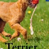 KOSMOS eBooklet: Terrier - Ursprung, Wesen, Haltung