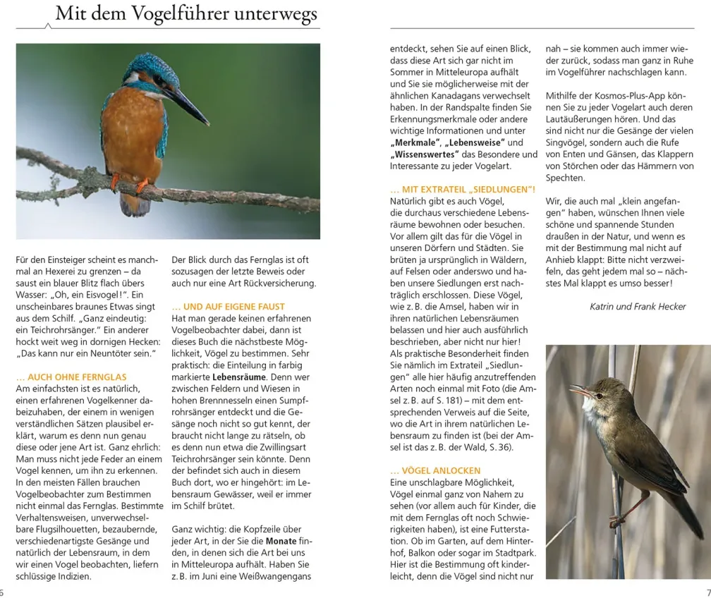 Kosmos Vogelführer für unterwegs