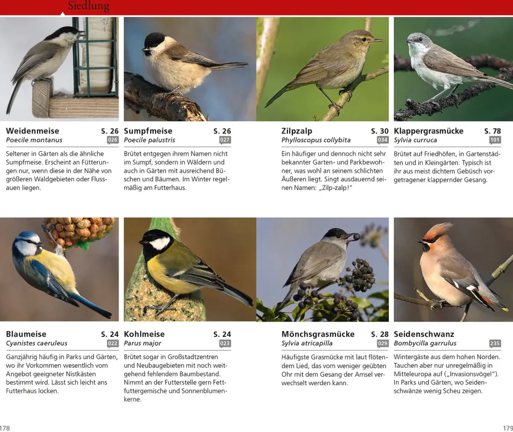 Kosmos Vogelführer für unterwegs