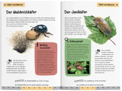 KOSMOS Was krabbelt denn da? Naturführer für Kinder ab 8 Jahren