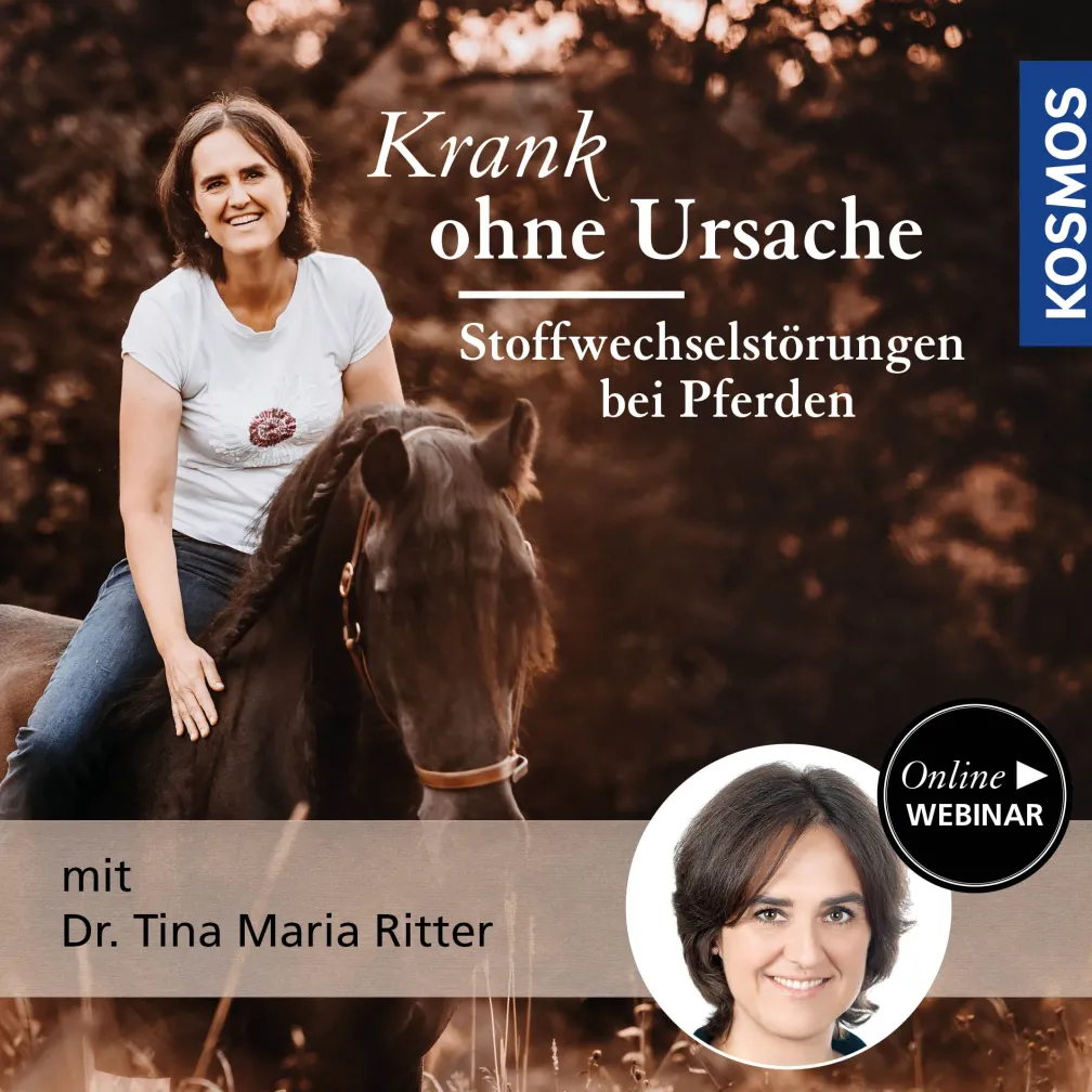 Krank ohne Ursache – Stoffwechselstörungen bei Pferden