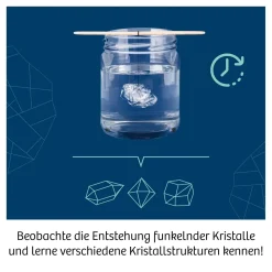 Kristalle züchten