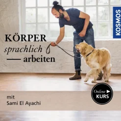 Körpersprachlich arbeiten – Video-Kurs mit Sami El Ayachi