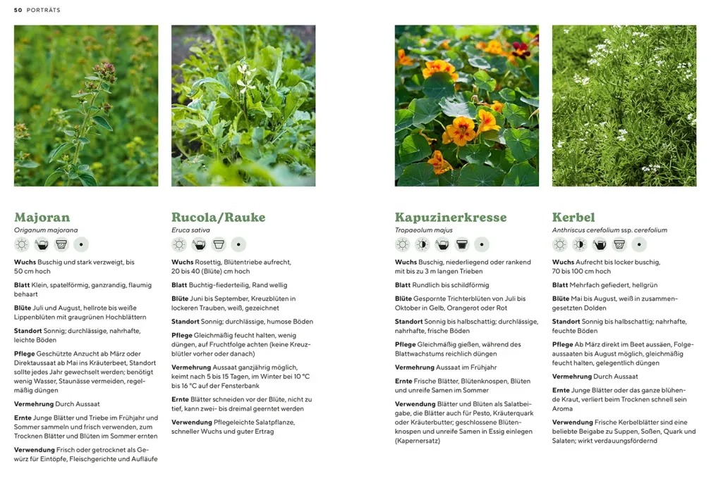Kräutergarten