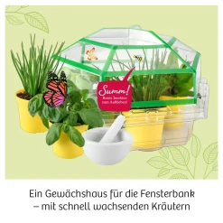 Kräuter-Garten