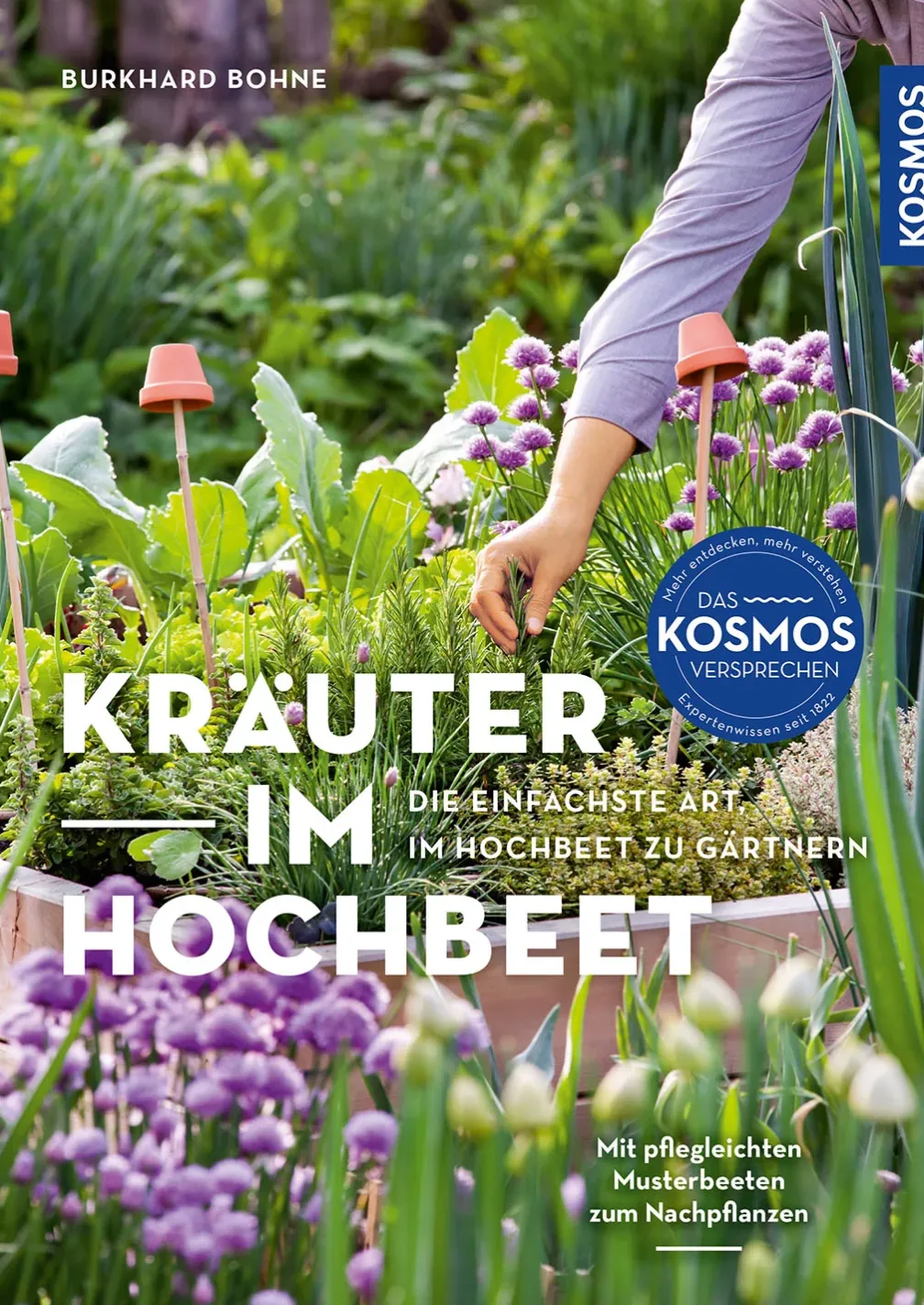 Kräuter im Hochbeet