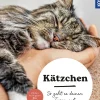 Kätzchen