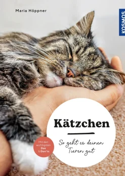 Kätzchen