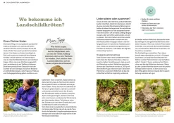 Landschildkröten