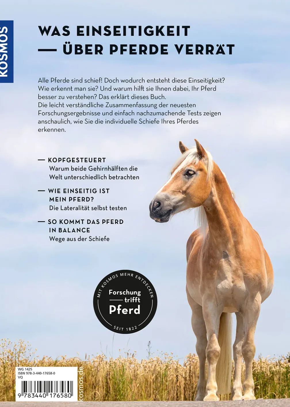 Lateralität bei Pferden