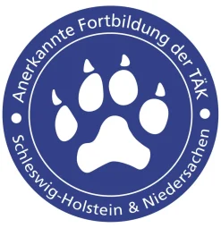 Leben am Limit – Wenn Hunde im Alltag permanent überfordert sind
