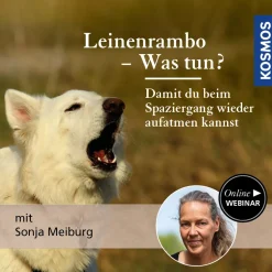 Leinenrambo - Was tun?