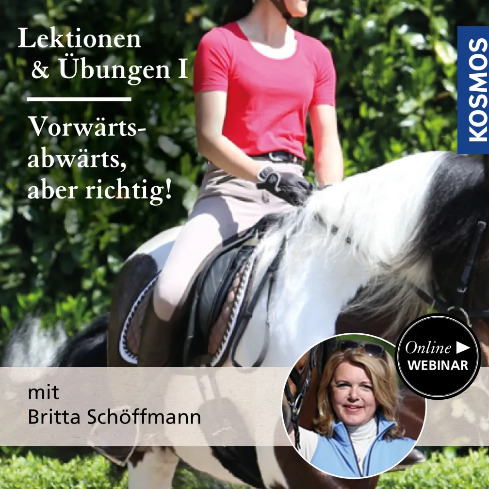 Lektionen und Übungen vom Sattel aus, Teil 1: Vorwärts-abwärts, aber richtig