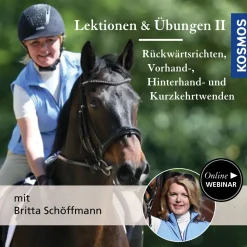 Lektionen und Übungen vom Sattel aus, Teil 2: Rückwärtsrichten, Vorhand-, Hinterhand- & Kurzkehrtwendungen