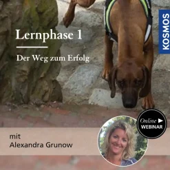 Lernphase 1 - Der Weg zum Erfolg