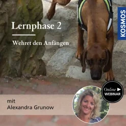Lernphase 2 - Wehret den Anfängen!