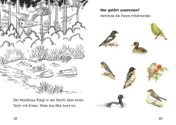 Lesen lernen mit Naturrätseln, Bücherhelden 2. Klasse, heimische Vögel