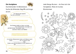 Lesen lernen mit Naturrätseln, Bücherhelden 2. Klasse, Insekten & Spinnen