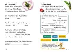 Lesen lernen mit Naturrätseln, Bücherhelden 2. Klasse, Insekten & Spinnen