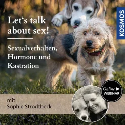 Let’s talk about sex! Sexualverhalten, Hormone und Kastration bei Hunden
