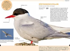 Lieblingsvögel