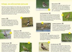 Lieblingsvögel