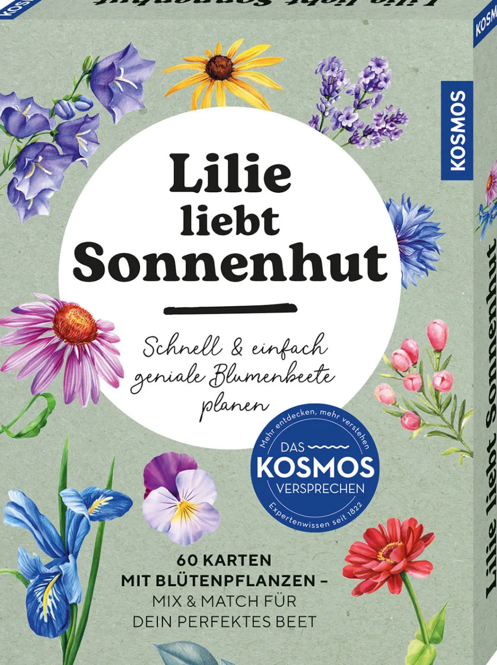 Lilie liebt Sonnenhut