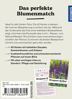 Lilie liebt Sonnenhut