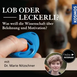 Lob oder Leckerli? - Was weiß die Wissenschaft über Belohnung und Motivation?