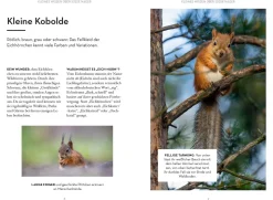 Mach was für Eichhörnchen