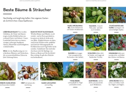 Mach was für Eichhörnchen