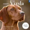 Magyar Vizsla