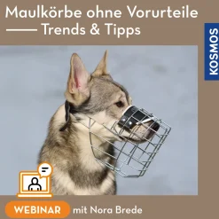 Maulkörbe ohne Vorurteile – Trends & Tipps