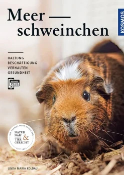 Meerschweinchen