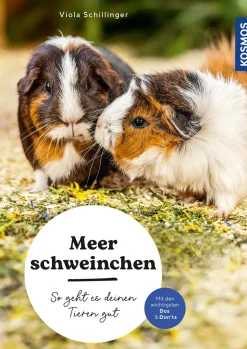 Meerschweinchen