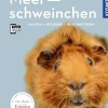 Meerschweinchen