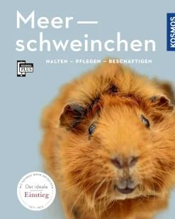 Meerschweinchen