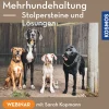 Mehrhundehaltung – Stolpersteine und Lösungen