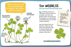 Mein erster Naturführer, Was blüht denn da?