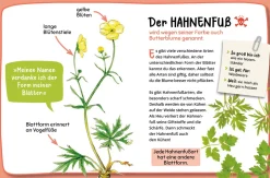 Mein erster Naturführer, Was blüht denn da?