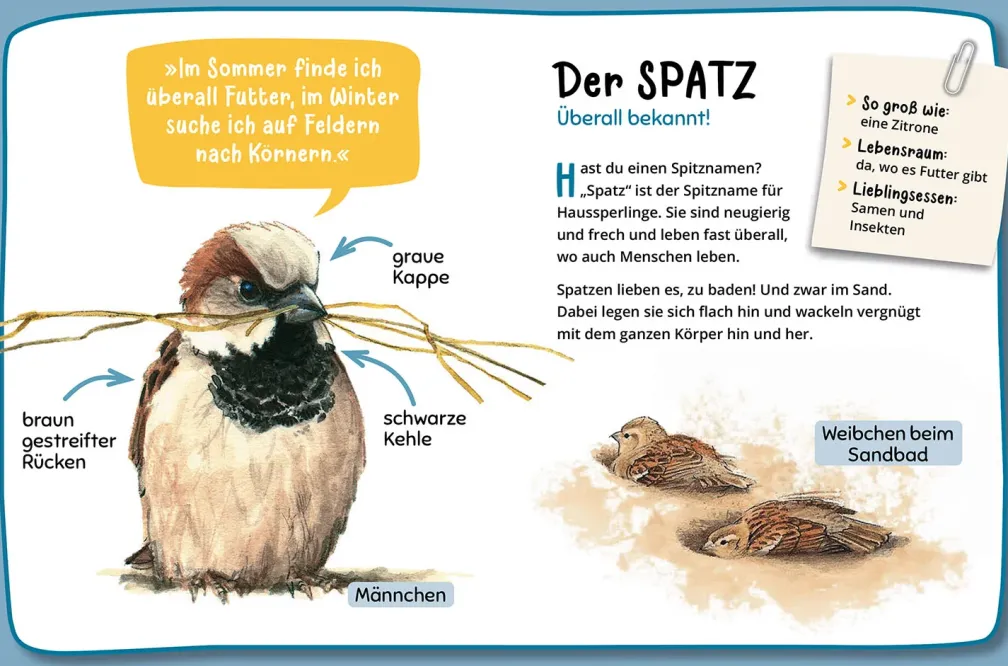 Mein erster Naturführer, Was fliegt denn da?