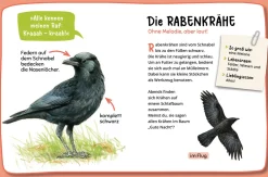 Mein erster Naturführer, Was fliegt denn da?