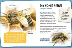Mein erster Naturführer, Was krabbelt denn da?