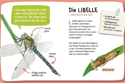 Mein erster Naturführer, Was krabbelt denn da?