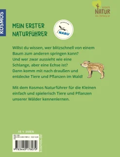 Mein erster Naturführer, Was lebt im Wald?