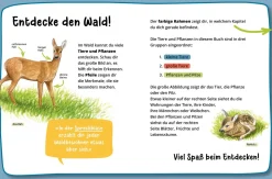 Mein erster Naturführer, Was lebt im Wald?