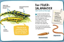 Mein erster Naturführer, Was lebt im Wald?