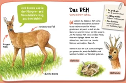 Mein erster Naturführer, Was lebt im Wald?