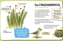 Mein erster Naturführer, Was lebt im Wald?
