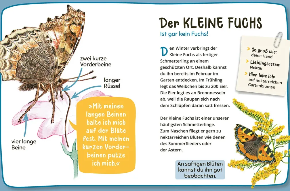 Mein erster Naturführer Was lebt im Garten?